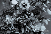 untitled-1